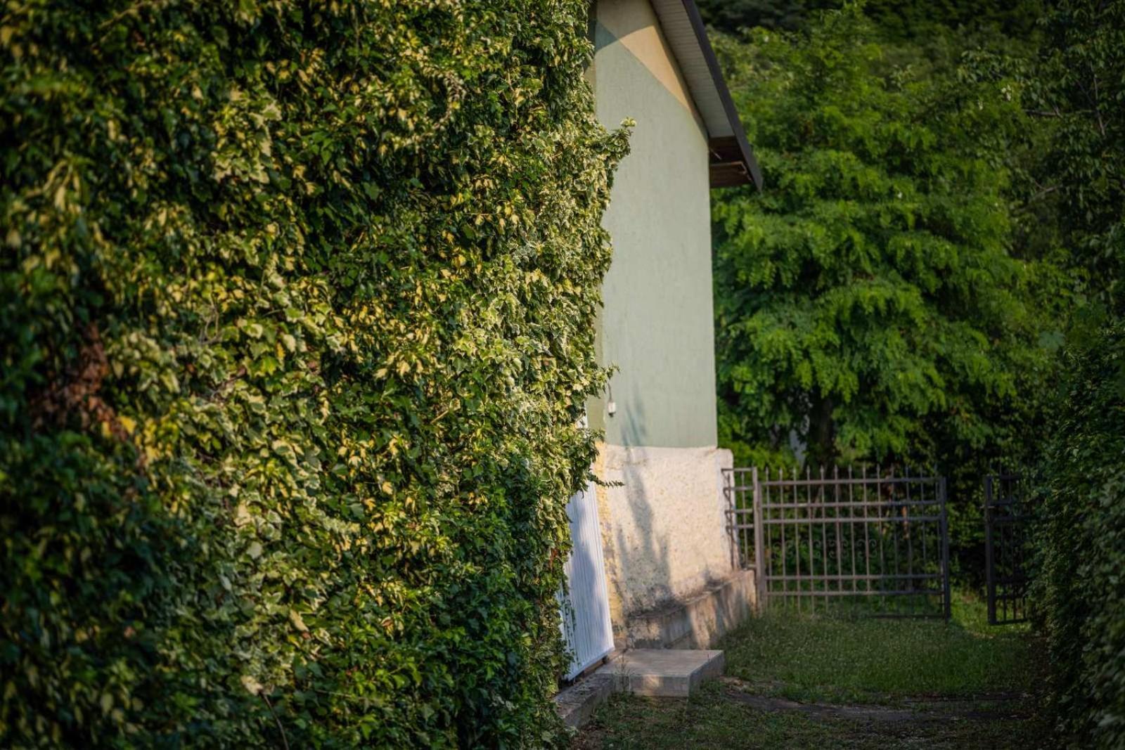 Vacation Home Rot Ohri Dış mekan fotoğraf
